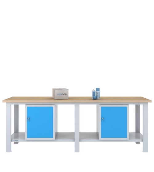 BANCO DA LAVORO 2500x700x885h con 2 sportelli